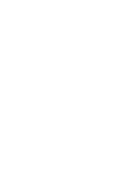 Logo phoenix porter white